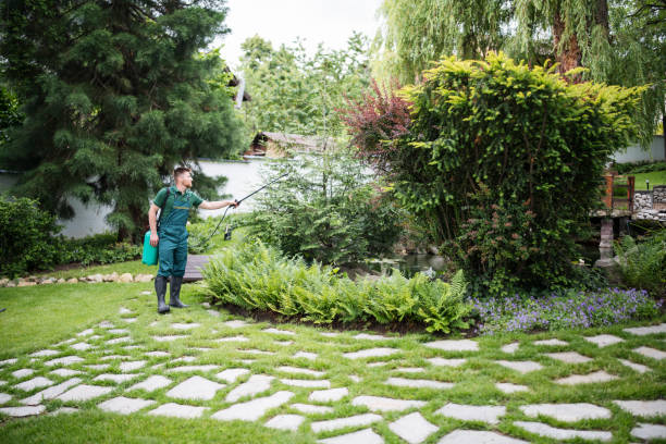 Professional Pest Control in Beacon Square, FL